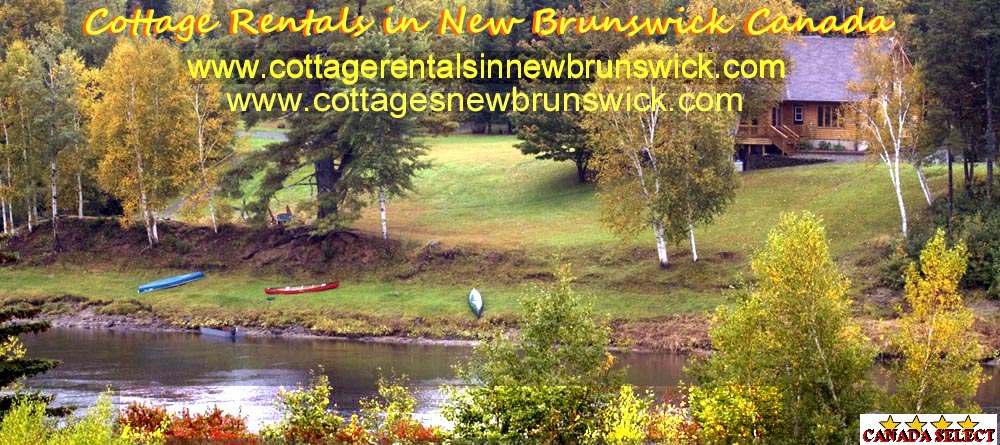 Country Haven Lodge and Cottages, Your one stop vacation destination